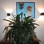 Bed & Breakfast M Cisza W Centrum Miasta Krynica Zdroj