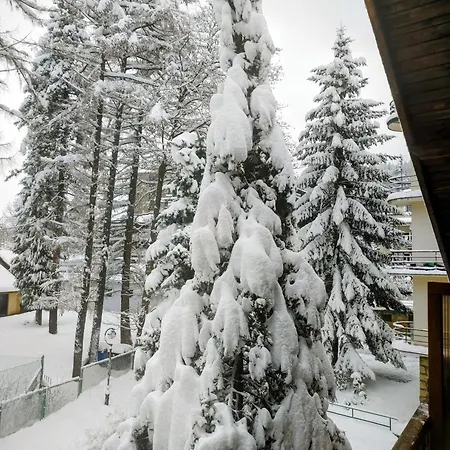 M Cisza W Centrum Miasta كرينيتسا زدروي